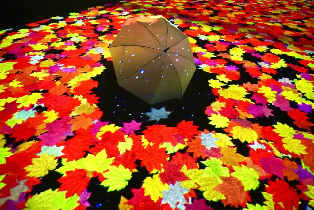 【層雲峡温泉】日本一早い紅葉が光のアートに染まる！第8回「奇跡のイルミネート」2025年9月14日より開催、秋の夜長を彩る体験型ライトアップ