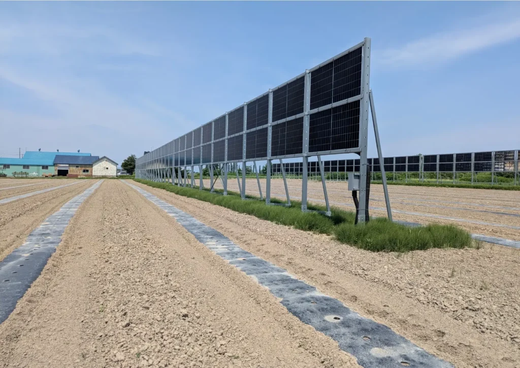 北海道岩見沢市でソーラーシェアリング型太陽光発電設備が稼働開始