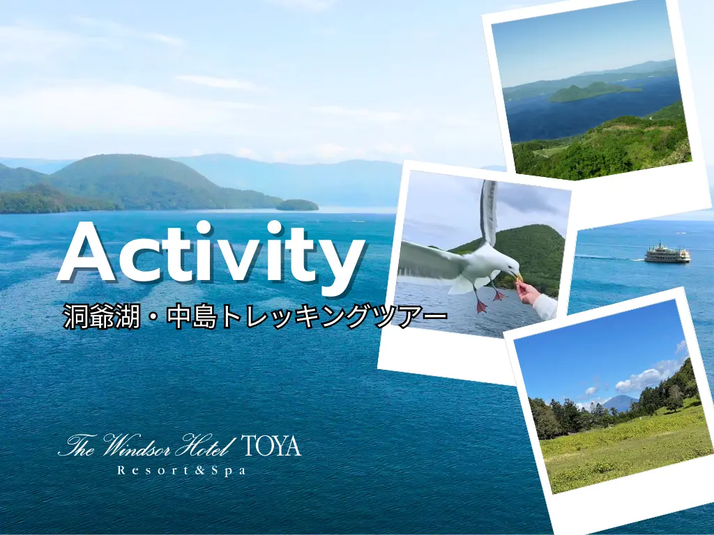 【期間限定】ウィンザーホテル洞爺発！神秘の中島トレッキングツアーでパワースポット探検。ホテルから安心のガイド同行！森と湖の癒し旅。五感で楽しむ洞爺湖時間