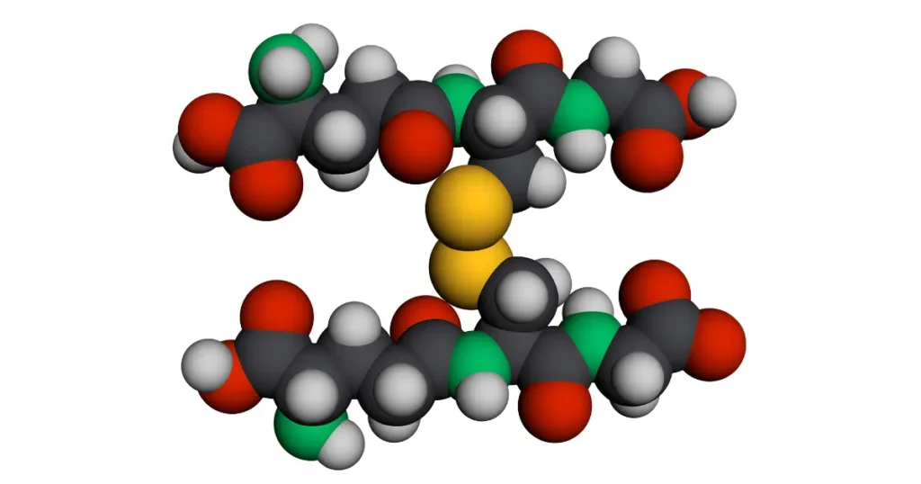 WAKU、北見工業大学と共同で高分子制御技術によるグルタチオンバイオスティミュラント研究を開始