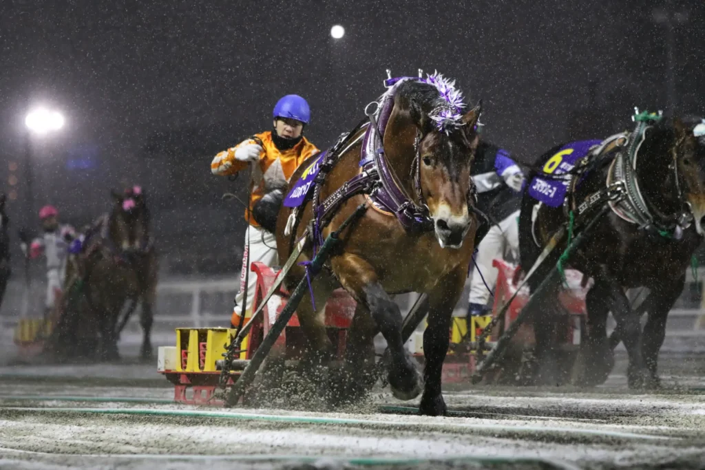 【ホテル日航ノースランド帯広】「第58回農林水産大臣賞典ばんえい記念」の開催を記念した「ばんえい記念宿泊プラン」を2月26日より販売開始