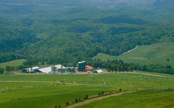 ワタミ、環境省「自然共生サイト」認定取得～美幌峠牧場において、牧場として国内初の認定～